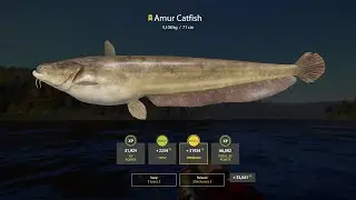 RF4 - Trophy Amur Catfish while trolling - 5,108kg + Hardcore Mode