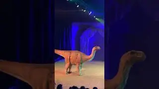 Dinos e Drag&otilde;es no shopping eldorado