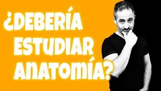 ¿Debería ESTUDIAR ANATOMÍA o sólo DIBUJARLA?