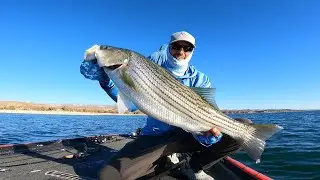 Pre-fishing MOHAVE LAKE, AZ | Caught A GIANT Striped Bass!