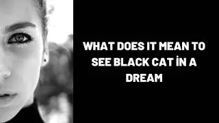 What Does It Mean To See Black Cat in a Dream?