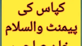 cotton payment status | dap Voucher update | subsidy news latest 2021