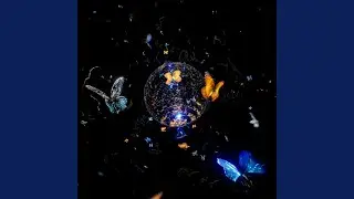 Shlut (Live Edit)