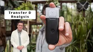 Step 5: The Most Important Step in Tetrasense &ndash; How to Complete Analysis & Transfer