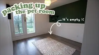 Packing up the Pet Room! 📦