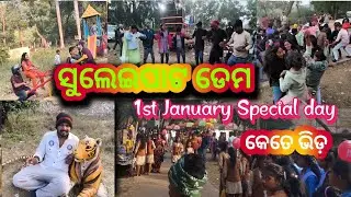 1 st January ସୁଲେଇପାଟ Picnic Spot Special Day | Rairangpur | Mayurbhanj | #picnic  @raajdailyvlog-r 