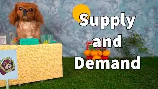 Supply and Demand Lesson for Kids