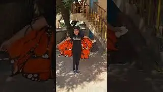 Diy butterfly costume #butterflywings  #diycostume #titlesong #fancydresses