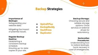 Website Creation Course - Backup Strategies - Lecture 10