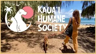 Sustainable You Hawaii: Kaua&lsquo;i Humane Society's Field-Trip Program