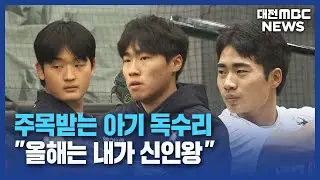 [데스크]주목받는 아기 독수리⋯