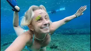 Keepin' It Reale- #15: Vicki finds Nemo!