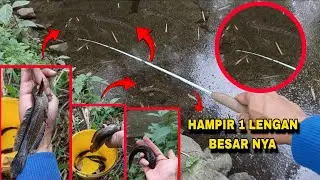 KOLAM TERBENGKALAI INI DIHUNI CHANNA MONSTER 