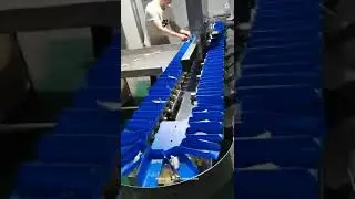 Meat food weighing sifting sorting conveyor system weighing sorting line