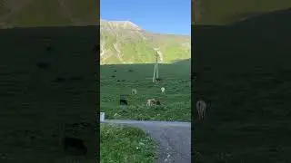 GEORGIA: LAND OF MAUNTAINS