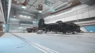 Star Citizen 3.8.0 Unedited Revel & York hangar quick tour