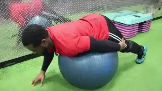 EXERCISE BALL BACK EXTENSIONS