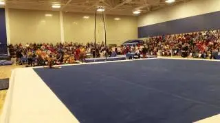 Bryan De Los Santos Floor RMO 2015