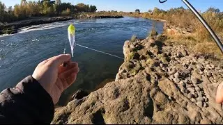 Steelhead Fishing On Feather River | Beginner