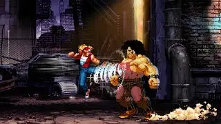 Terry VS. Hugo