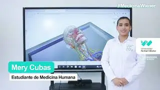 Estudiantes Medicina Humana Wiener