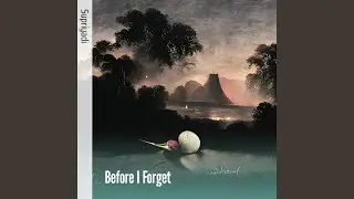 Before I Forget