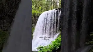 All the feels at Silver Falls 💧 Russell #exploreoregon #pnwonderland #pacificnorthwest