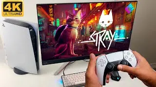 Stray Gameplay on PlayStation 5 4K 60FPS