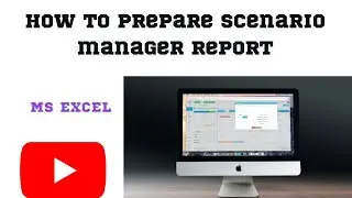 How to prepare scenario manager report 