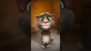 no defeated Tom anyone/funny talking Tom/Teri jhalak, Allu Arjun /new Hindi song 2022#short