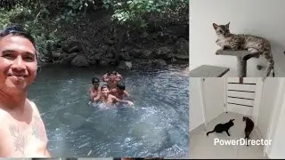 PA BUGNAW SA MAMAL MIX CAT PLAY @nanasvlog3904 #amazing #foryou 
