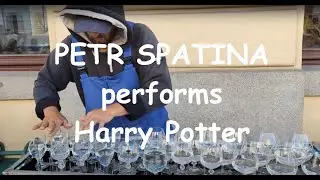 Petr Spatina The Best Glass Harp Player In The World Performs Harry Potter