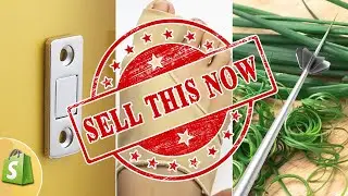 Sell These 8 Winning Products in December 2020 (Shopify Dropshipping Product Research)