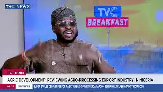 We Must  Create African Solutions to African Problems – Adeshola Adeoluwa