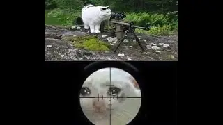 Sniper Practice (Battlefield V)