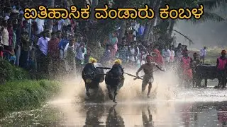 Vandaru kambala/History famous Vandar kambala/Tulnadu culture#kantara@ravisheditz15