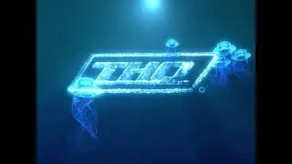 THQ / AWE Games / Nick Games (2006)