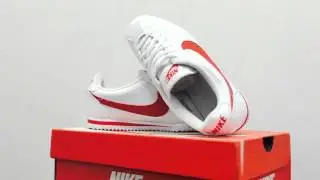 코르테즈