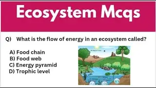 Ecosystem mcqs ||most important ecosystem mcq ||biology mcq for competitive exams||biodiversity mcqs