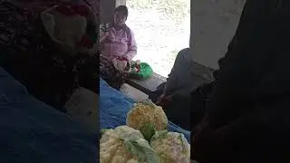 Chimbu Integrated Farmers Co-Operative Society Limited 