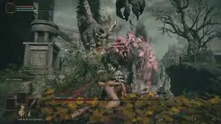 Godrick_SL1_No Hit / No invoc / No Magic / No PC / No Item