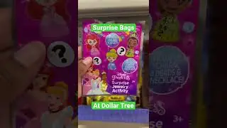 Shop With Me at Dollar Tree~Surprise Bags