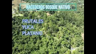 VENDIDO!!!🔴 CUATRO HECTAREAS 550 MILLONES FINCA EN VENTA SAN FRANCISCO CUNDINAMARCA.