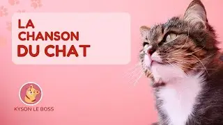 ➡️ Kyson Le Boss - La chanson du chat
