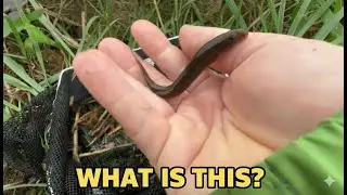Going Back to My Hometown to Catch Fish and Crabs | I Never Expected This!