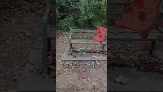 Bench is Full of Trash #NoExcuse #RealChange #GarbageProblem  #FightTheCause #TruthUncovered