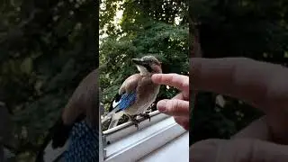 20210630 181927