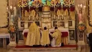 Agnus Dei - Kv 259 Mozart - Old Rite Mass