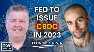A Central Bank Digital Currency Will be Rolled Out in 2023: Economic Ninja