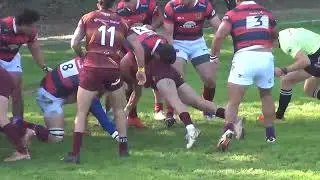 Torneo Oficial 2024   Fecha   Palermo Bajo vs La Tablada